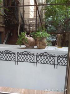 雅典Amalthea Studio的两株盆栽植物坐在阳台顶部