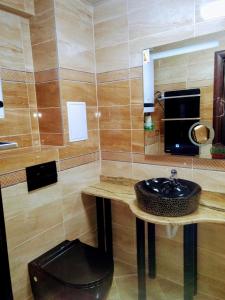 普罗夫迪夫Valentina GOLD apartment的一间带水槽和镜子的浴室