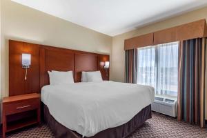 卡本代尔Comfort Inn & Suites Carbondale University Area的一间设有大床和窗户的酒店客房