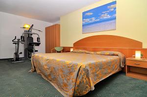 卡尔达诺阿尔坎波阿斯科特寄宿酒店的酒店客房带一张床和一个健身房