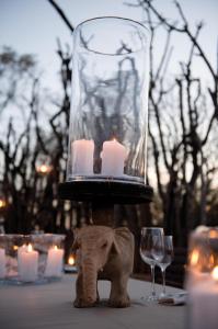 马迪克韦狩猎保护区Madikwe Hills Private Game Lodge的蜡烛放在大象上