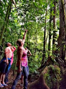 福尔图纳Cecropia Ecolodge的一群人站在树林里的一条小径上