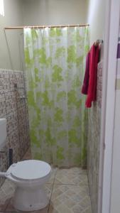 ZanderijRumanija's Airport Rooms的带淋浴帘和卫生间的浴室