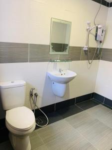 金马仑高原采尔马特酒店 的一间带卫生间和水槽的浴室