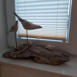 滕宁Nordstern的窗前木头上的两只鸟