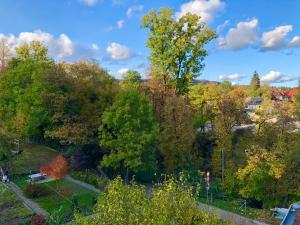 瓦尔茨胡特田根Ferienwohnung im Grünen auf idyllisch gelegenen Gutshof und doch so zentral的秋天树木林的顶部景色