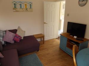 多切斯特Family guest suite in Cheselbourne的带沙发和平面电视的客厅