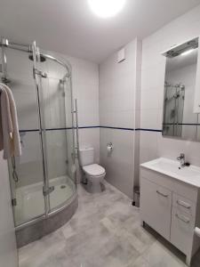 索库乌卡Miodowe Siedlisko的带淋浴、卫生间和盥洗盆的浴室