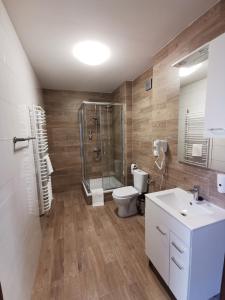 索库乌卡Miodowe Siedlisko的带淋浴、卫生间和盥洗盆的浴室
