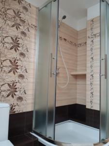 奥拉夫斯基波扎莫克Apartmán 80的浴室里设有玻璃门淋浴