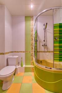 第聂伯罗Apartment on Riverfront of Dnepr的一间带卫生间和淋浴的浴室
