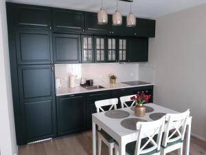 格但斯克Baltica Sea Apartment II的厨房配有绿色橱柜和桌椅