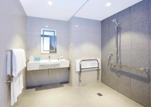 布里斯班布里斯班中心智选假日酒店的一间带水槽和淋浴的浴室