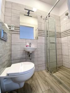 克拉科夫自由旅馆 的浴室配有卫生间、盥洗盆和淋浴。