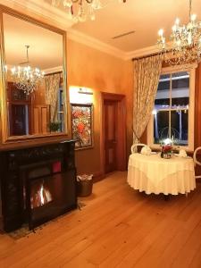 克尼斯纳猎鹰视角庄园酒店的客厅设有壁炉和镜子