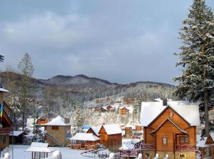 米戈韦Норіс的一座满是雪地的村庄,里面种有房屋和树木