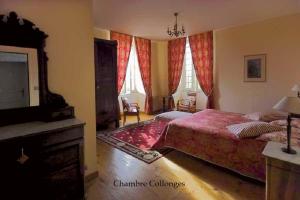 多尔多尼河畔博利厄格勒泽城堡酒店的卧室配有床、电视和窗户。