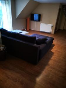 德绍Pension Kuehnauer Hof的客厅设有一张黑色沙发,配有平面电视。