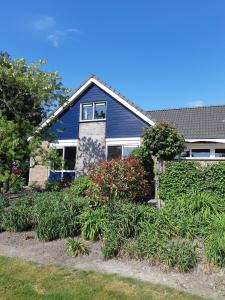 比丁赫伊曾B&B De Kandelaar的蓝色房子前面有植物