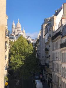 巴黎巴黎克罗采酒店的享有城市街道和建筑的景色