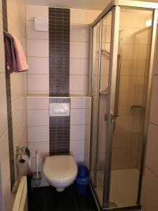利德阿尔卑斯瓦拉斯阿小木屋酒店的一间带卫生间和淋浴的小浴室