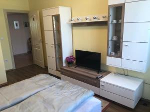 MezőpeterdEmese vendégház的一间卧室配有一张床和一台平面电视