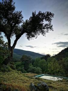 马尔旺Monte das Cascatas的一座游泳池,位于一座小山上,树上