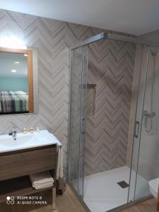 锡古恩萨阿拉米达公寓 的带淋浴和盥洗盆的浴室