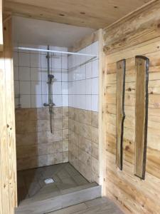 Alpin Eco Chalet & Wellness的一间浴室