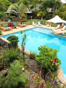 巴利纳Ballina Beach Resort的一个带椅子和树木的大型蓝色游泳池