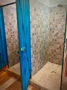巴卡拉尔Yaxche Centro Hostal y Camping的带淋浴的浴室和蓝色玻璃门