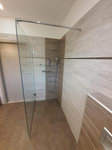 克拉斯纳利帕Bungalov v Krásné Lípě的浴室里设有玻璃门淋浴