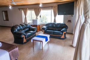 希亚丰加湖泊野生酒店的客厅配有两张真皮沙发和一台电视机