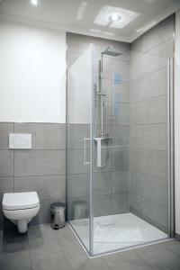 格吕克斯塔特Hotel & Restaurant Christian IV的设有带卫生间的浴室内的淋浴间