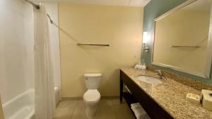奥兰多奥兰多东智选假日套房酒店的浴室配有卫生间、盥洗盆和淋浴。