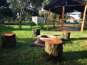纳纽基Ol marei Home的一组木头,长着长椅坐在草地上