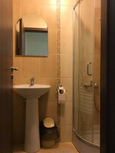 Sebeşu de SusCasa Ardeleneasca的浴室配有盥洗盆和带镜子的淋浴