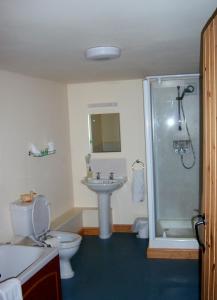 洛斯托夫特劳伦农庄庭院酒店的浴室配有卫生间、盥洗盆和淋浴。