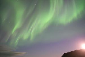 维克维克普费因酒店的天空中北极光的图像