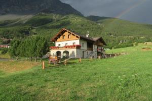 博尔米奥Agriturismo San Gallo的绿色田野上山丘上的房屋