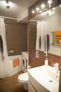 基辅Apartment FeLi House的一间带水槽、卫生间和镜子的浴室