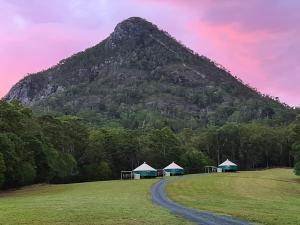 PomonaNoosa Eco Retreat的山地,在土路的田野里,有帐篷