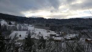 La Croix-aux-MinesLa mansarde aux digitales的山上白雪覆盖的小村庄