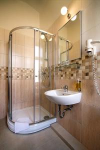 布拉格金牛座酒店的带淋浴和盥洗盆的浴室