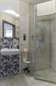 斯克拉斯卡波伦巴Hotel Grey Spa的带淋浴和盥洗盆的浴室