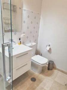 塞维利亚Hispalis Casa Palacio Apartment的白色的浴室设有卫生间和水槽。