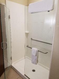 罗切斯特Comfort Inn & Suites West - Medical Center的浴室设有玻璃淋浴间和毛巾
