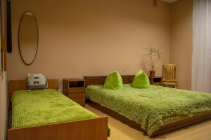 基辅Arcobaleno Home的一间卧室配有两张带绿床单和镜子的床