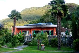 维拉里瓦宾馆的一座种植了棕榈树的橘子房子