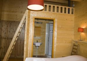 迪伦Lodges Veluwse Poort的一间卧室配有一张双层床和梯子